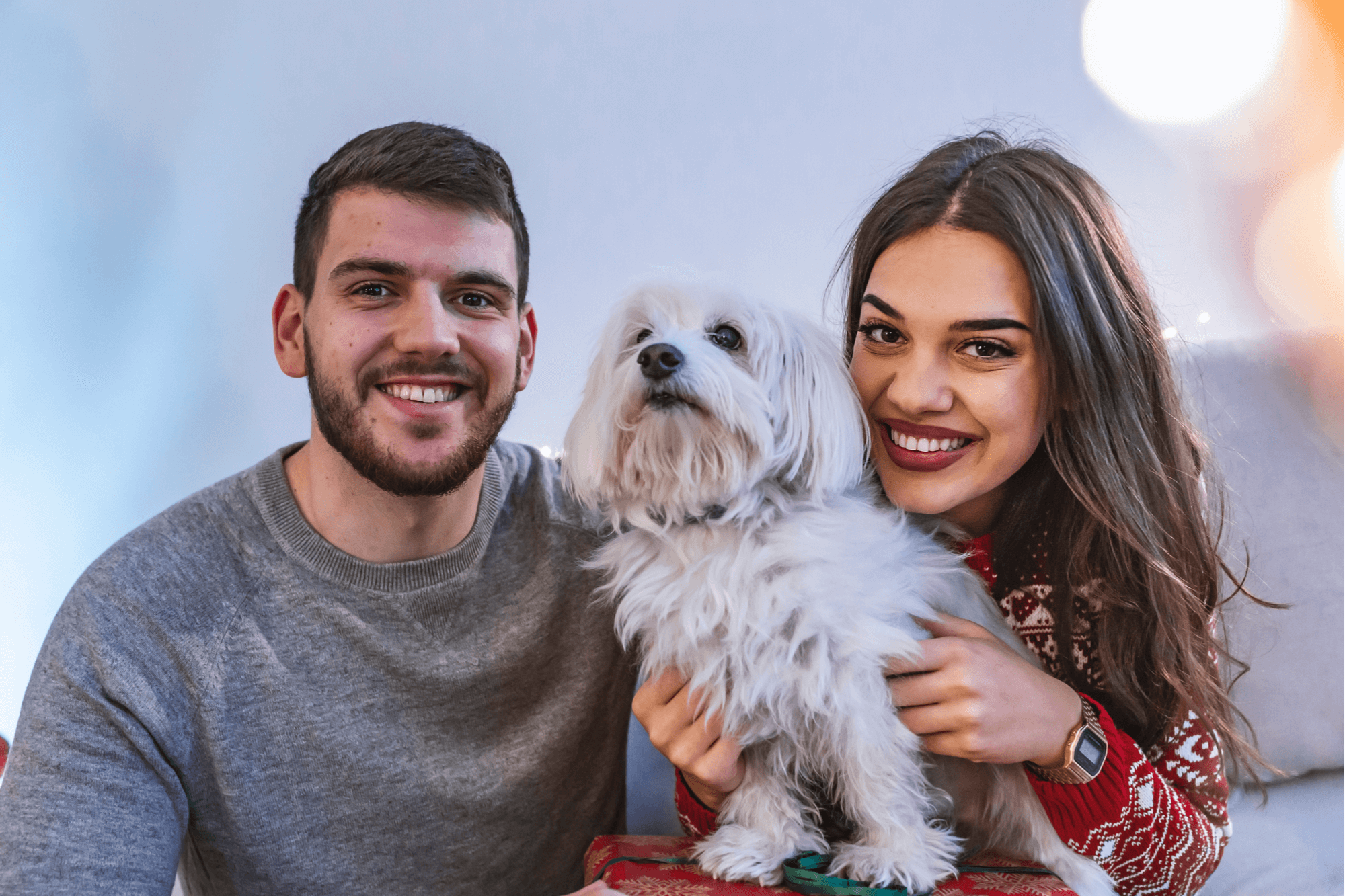 Pet Insurance in Massachusetts Haberman Insurance Group